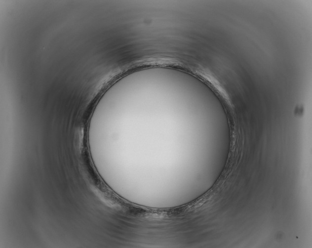 X0000091460110200708161115