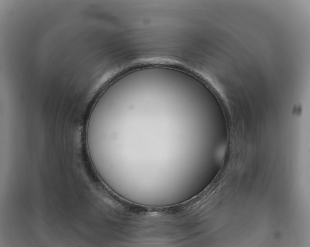 X0000091460111200708161115