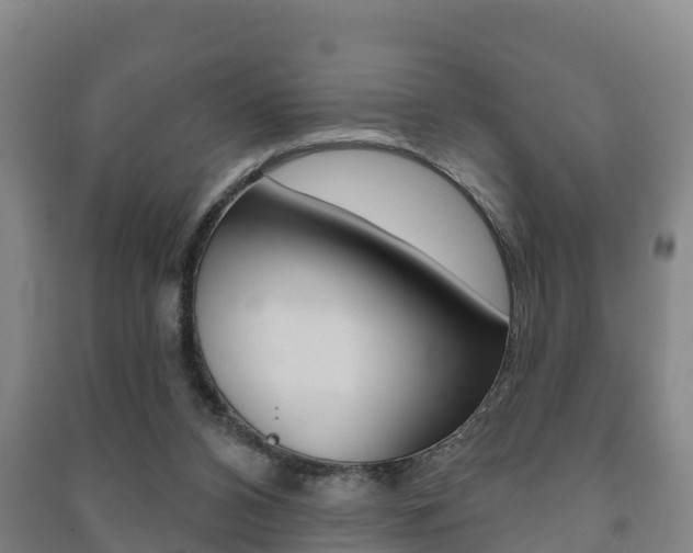 X0000091460112200708161115