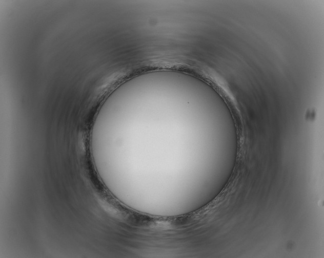X0000091460114200708161115