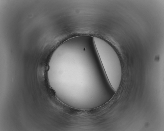 X0000091460115200708161115