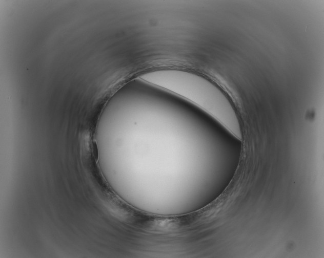 X0000091460117200708161115