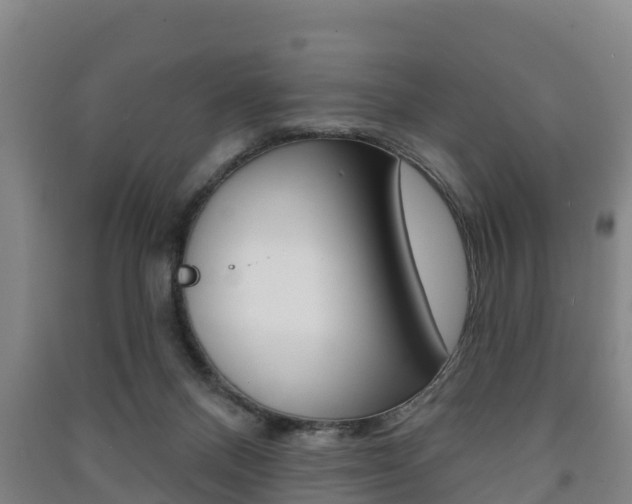 X0000091460120200708161115