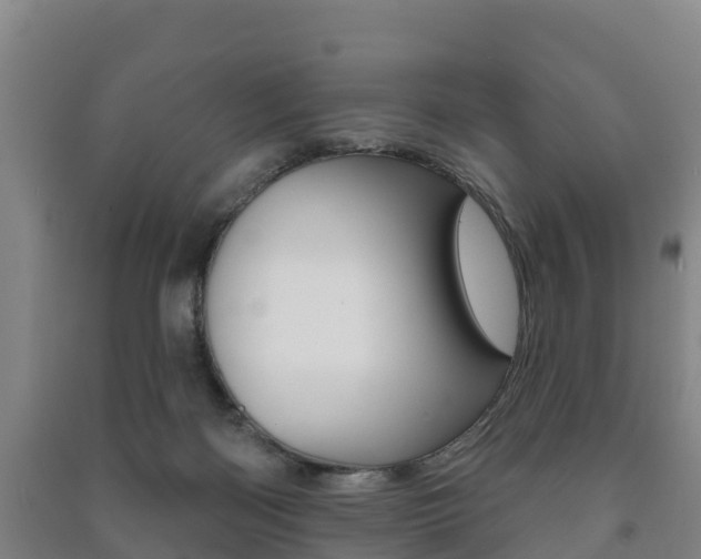 X0000091460122200708161115