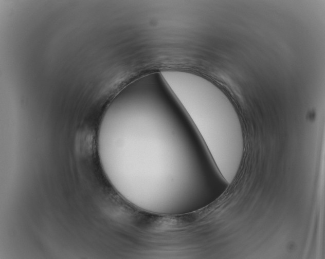X0000091460123200708161115