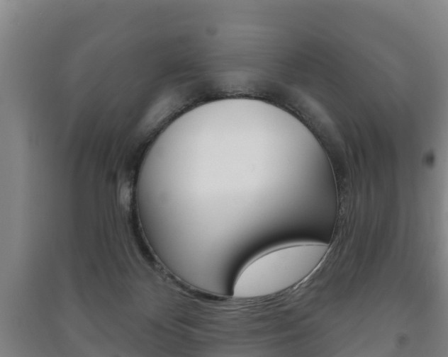 X0000091460124200708161115