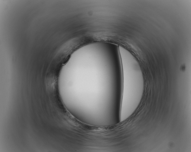 X0000091460125200708161115