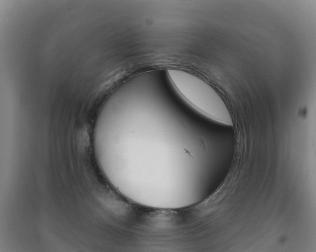 X0000091460128200708161115