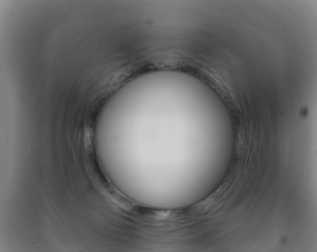 X0000091460130200708161115