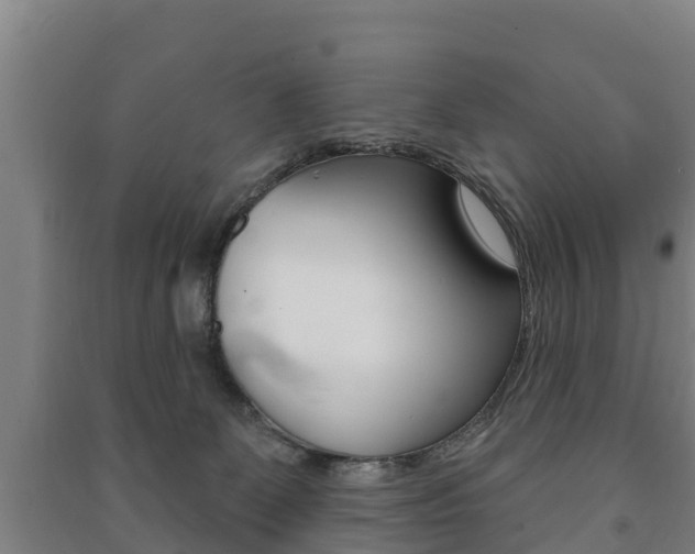 X0000091460131200708161115