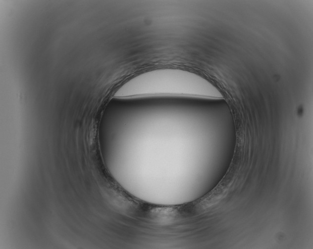 X0000091460133200708161115