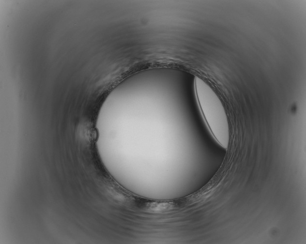 X0000091460135200708161115