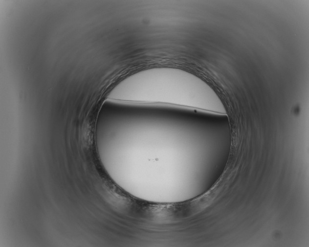 X0000091460136200708161115