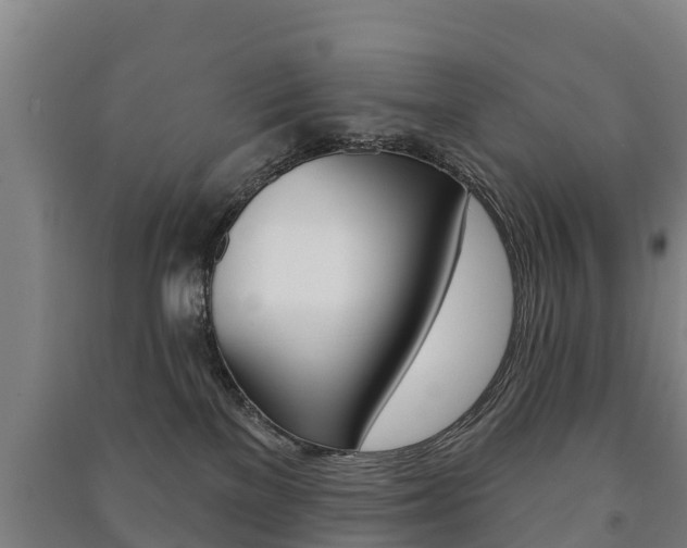 X0000091460137200708161115