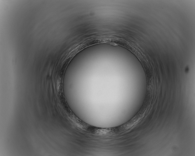 X0000091460139200708161115