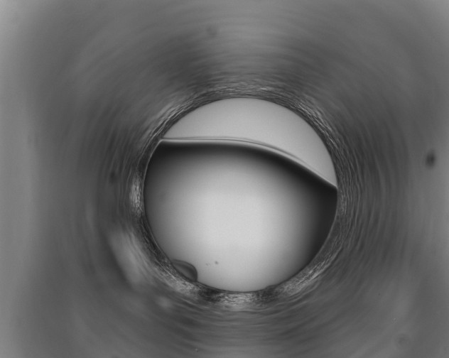 X0000091460143200708161115