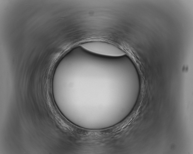 X0000091460145200708161114