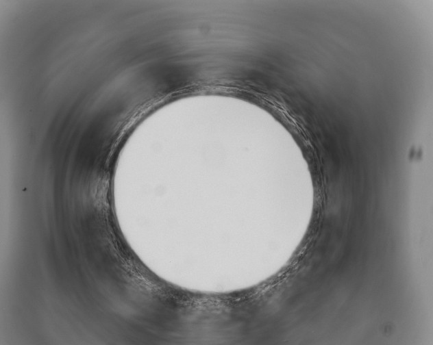 X0000091460146200708161114
