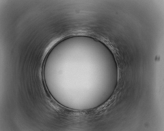 X0000091460147200708161114