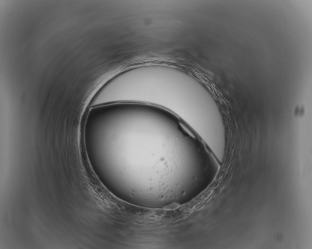 X0000091460148200708161114