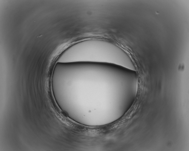X0000091460149200708161114