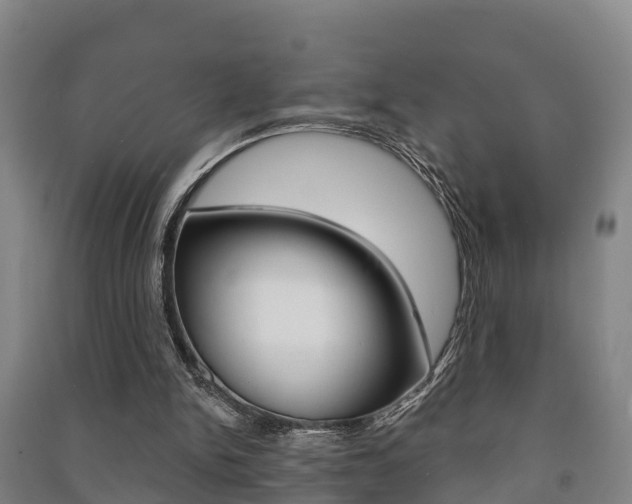 X0000091460150200708161114