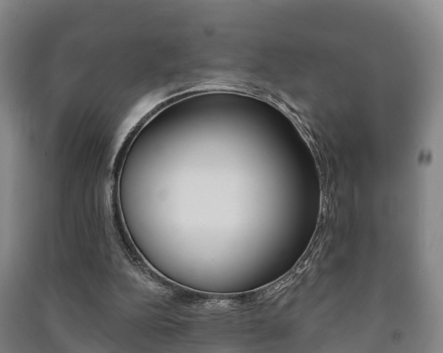 X0000091460152200708161114