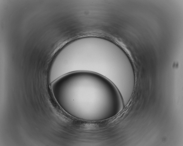 X0000091460154200708161114