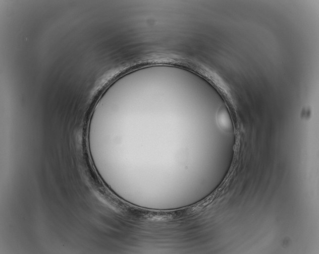 X0000091460155200708161114