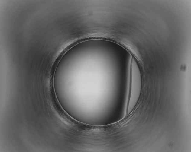 X0000091460156200708161114