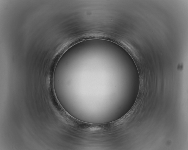X0000091460158200708161114