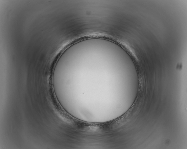 X0000091460159200708161114