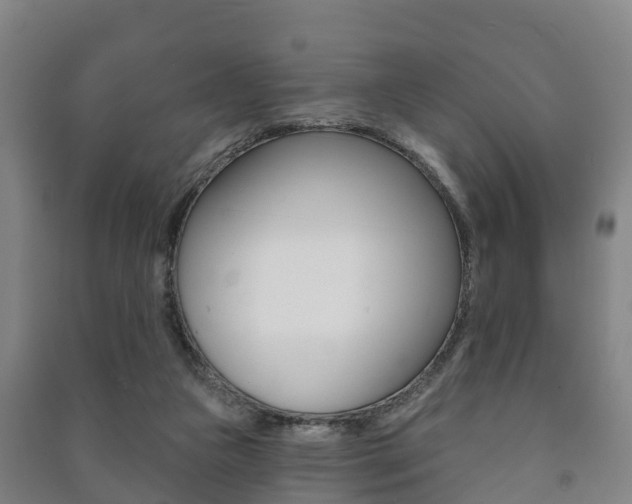 X0000091460161200708161114