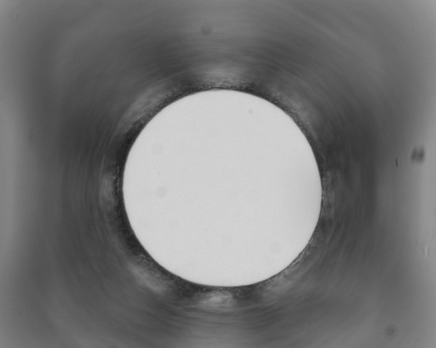 X0000091460162200708161114