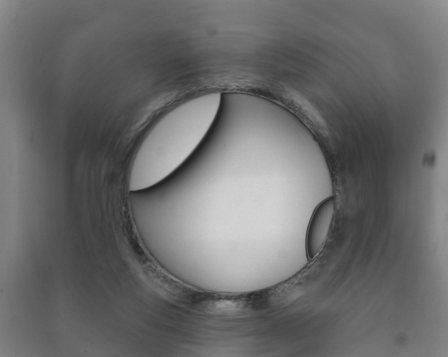 X0000091460163200708161114