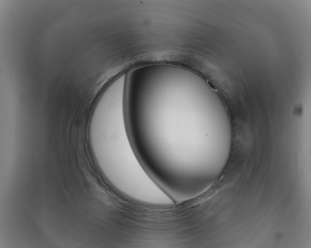 X0000091460164200708161114