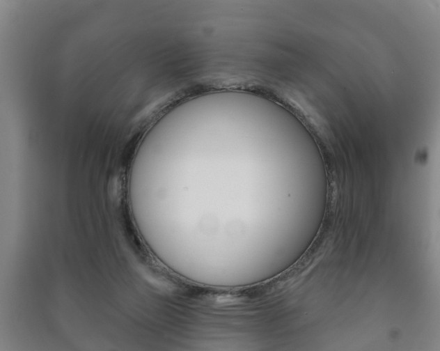X0000091460165200708161114