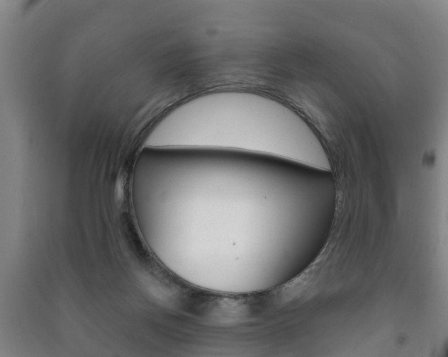 X0000091460166200708161114