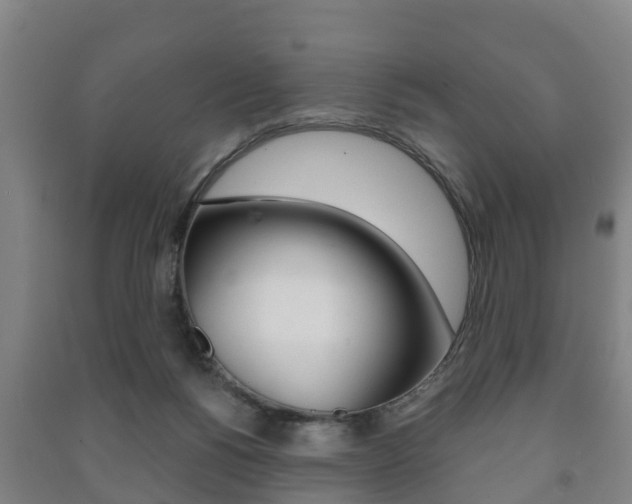 X0000091460168200708161114
