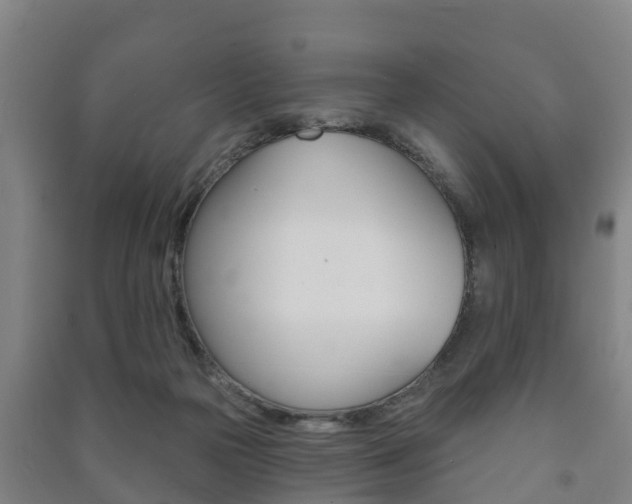 X0000091460169200708161114