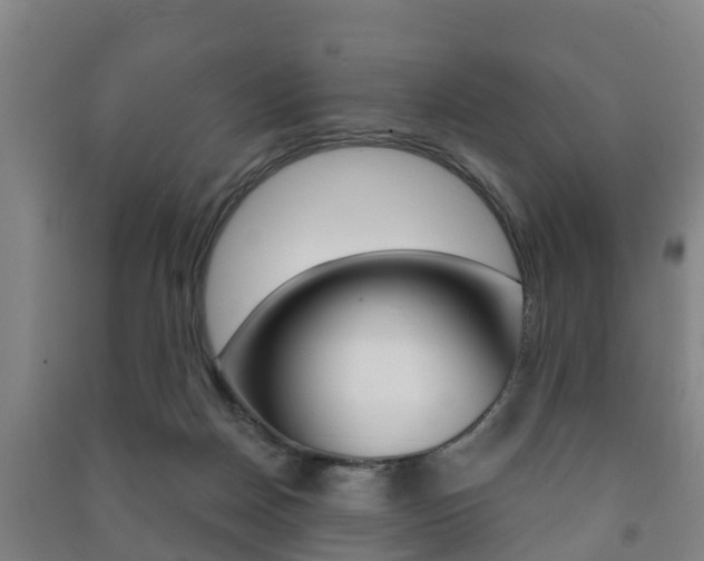 X0000091460170200708161114