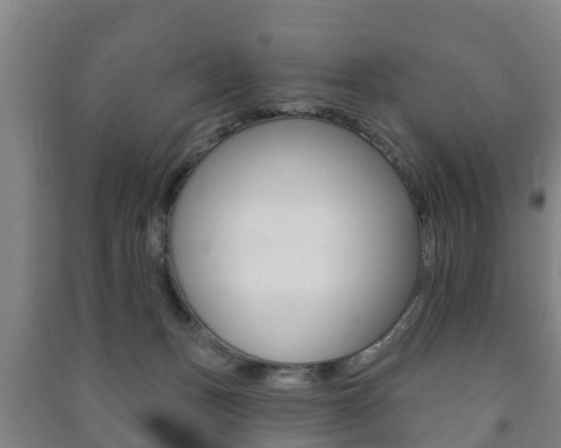 X0000091460175200708161115