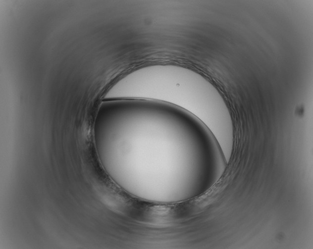 X0000091460176200708161115
