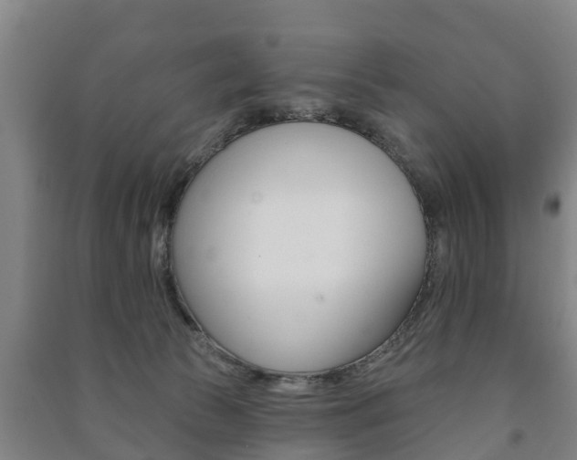 X0000091460177200708161115