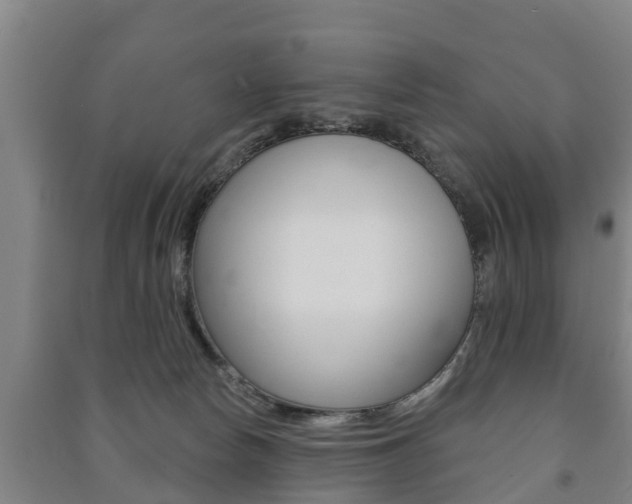 X0000091460178200708161115