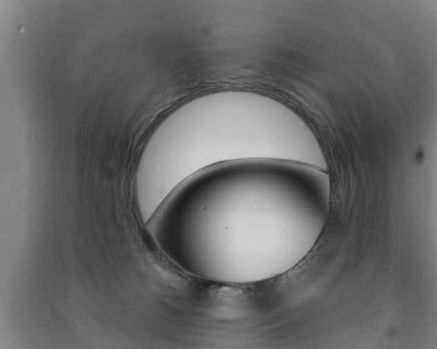 X0000091460180200708161115