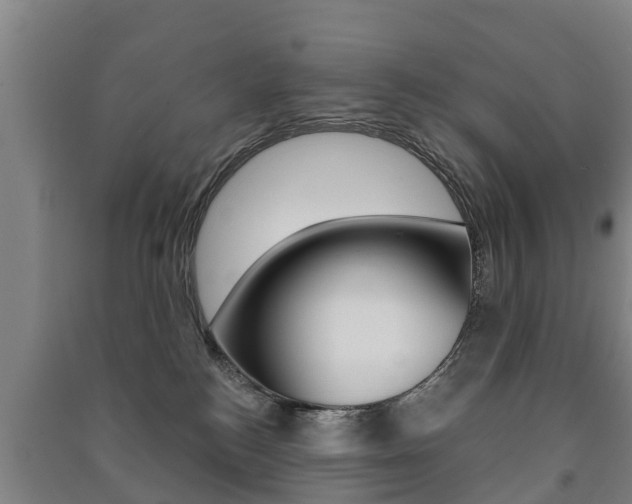 X0000091460184200708161115