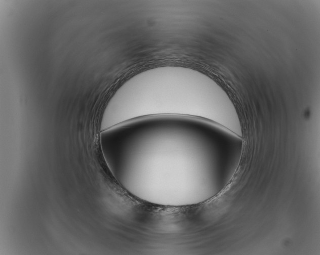 X0000091460186200708161115