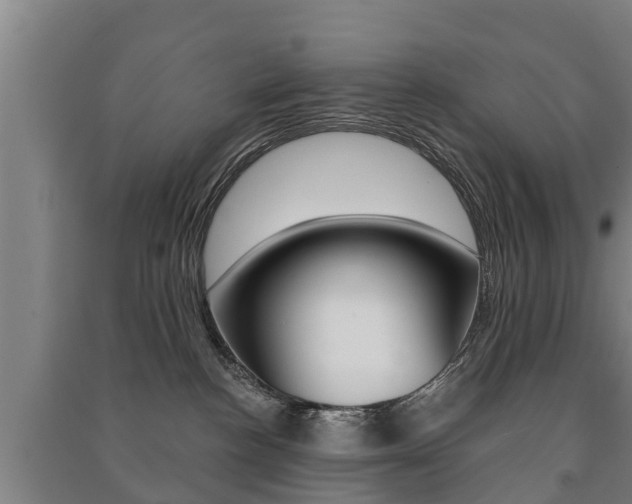X0000091460188200708161115