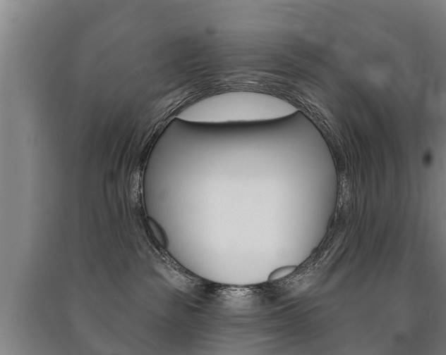 X0000091460189200708161115